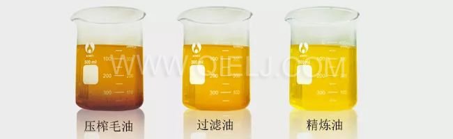 了解壓榨 浸出 精煉工藝出來的油 到底有什么區(qū)別？(圖1)