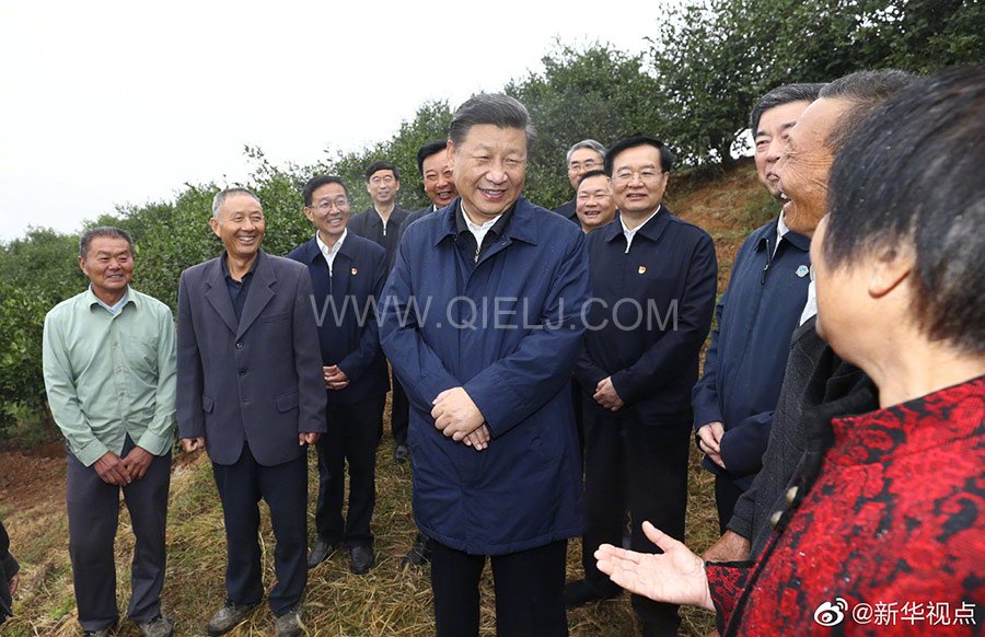 光山油茶籽榨油設(shè)備，山茶籽油榨油機(jī)廠家(圖2)