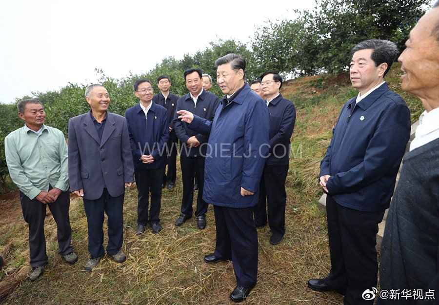 光山油茶籽榨油設(shè)備，山茶籽油榨油機(jī)廠家(圖3)