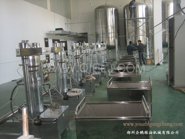 核桃油提取設(shè)備 企鵝牌核桃油設(shè)備 質(zhì)優(yōu)價好！(圖2)