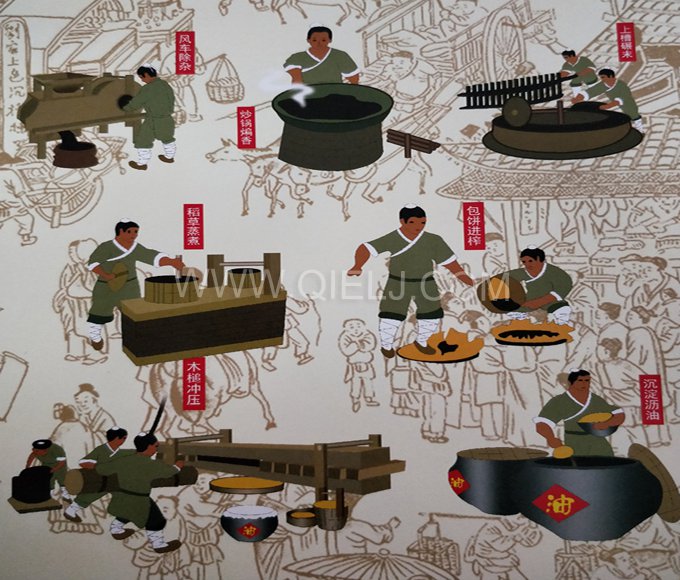 芝麻油提取加工，企鵝糧油機(jī)械生產(chǎn)色香味俱佳的油脂(圖2)